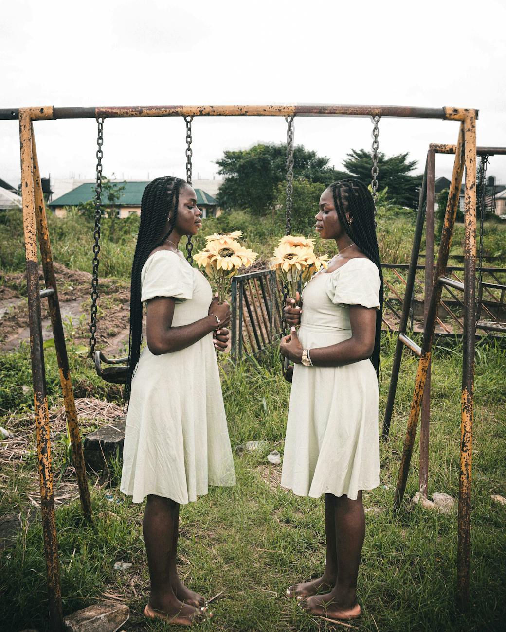 The sunflowers around my way